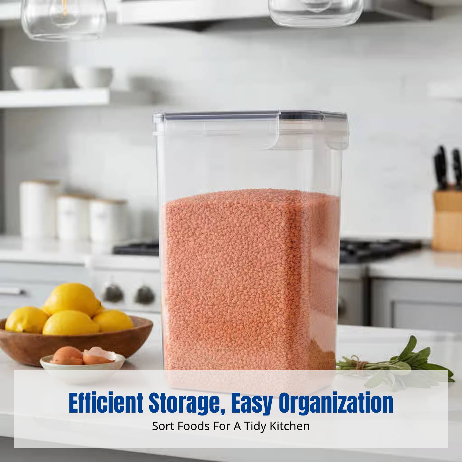 Airtight Food Storage Containe - Food Storage Airtight avaliação e preço