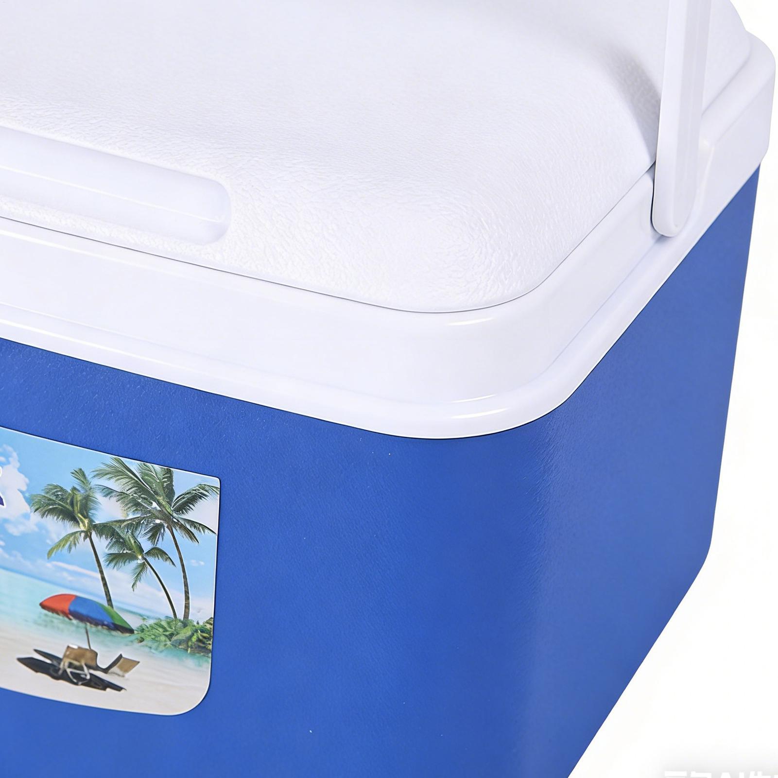5L/8L Insulated Cooler Box Por - Food Storage Hiking avaliação e preço