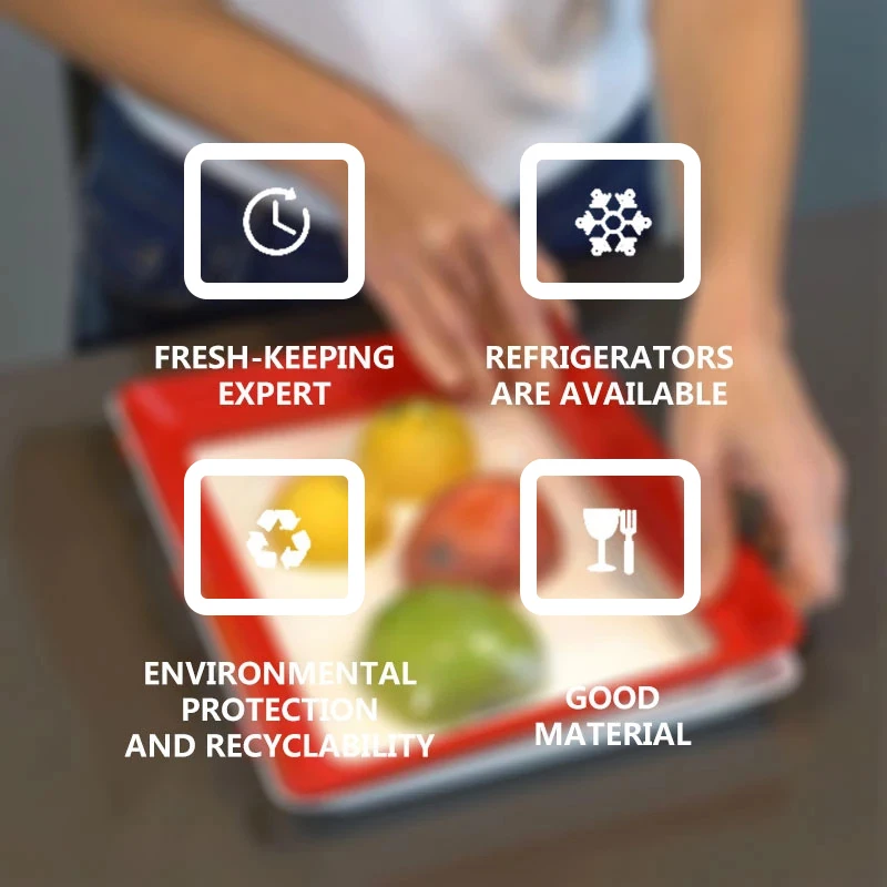 Food Preservation Tray PP Reus - Food Storage And Safety avaliação e preço