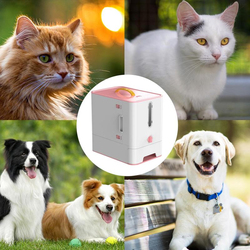 Pet Feeder Box Feeding Bowl Ca - Food Storage And Safety avaliação e preço