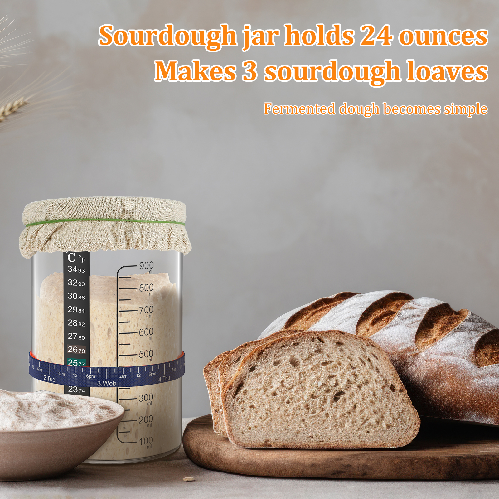 Sourdough Starter Jar Kit 900m - Food Storage Glass Box avaliação e preço
