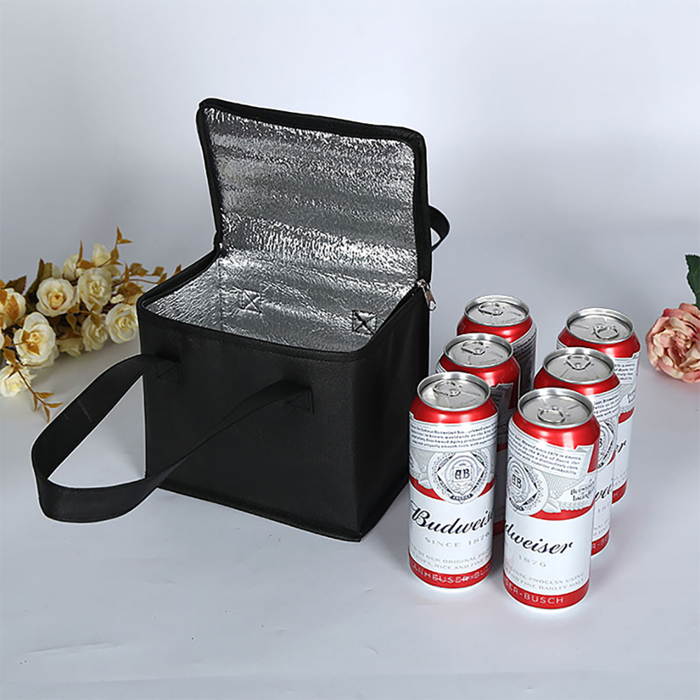 Portable Lunch Cooler Bag Fold - Food Storage Hiking avaliação e preço