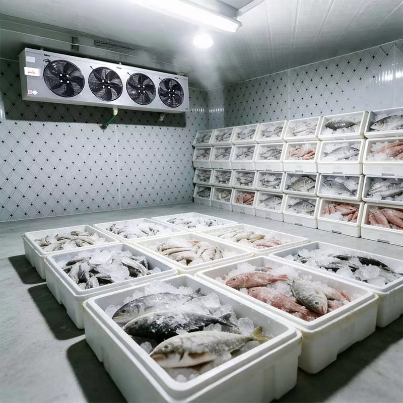 Customized Food Grade Cold Sto - Food Storage And Safety avaliação e preço