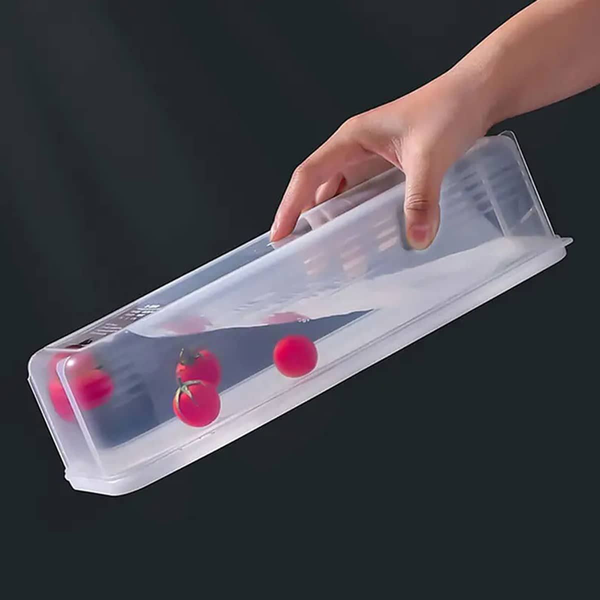 1 Plastic Transparent Storage  - Food Storage Underground avaliação e preço